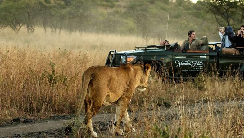 Nambiti Game Reserve Big 5 Safari.