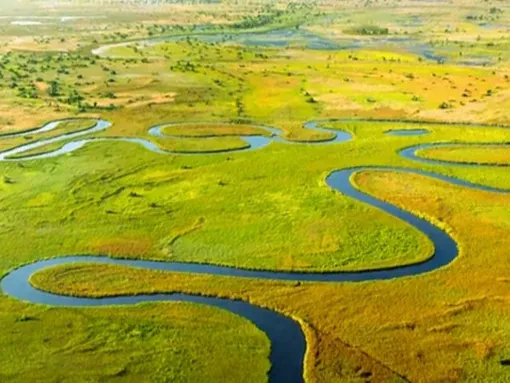 Okavango Botswana